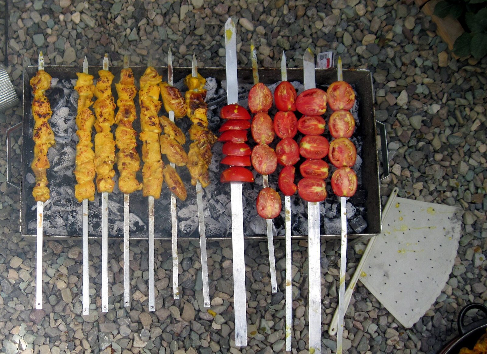Brochettes plates de joojeh kabab safrané et brochettes de tomates sur un lit de braises